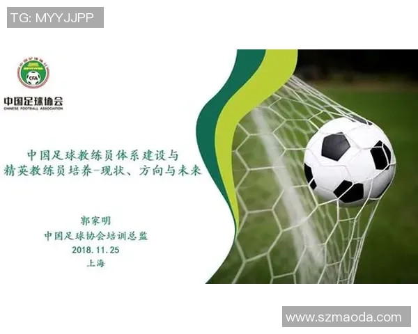 中国足球教练证的获取与发展现状分析及未来展望